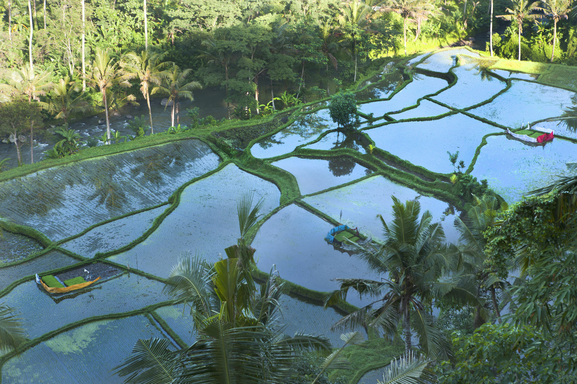 Umah Tampih Luxury Private Villa - CHSE Certified Ubud  Bagian luar foto